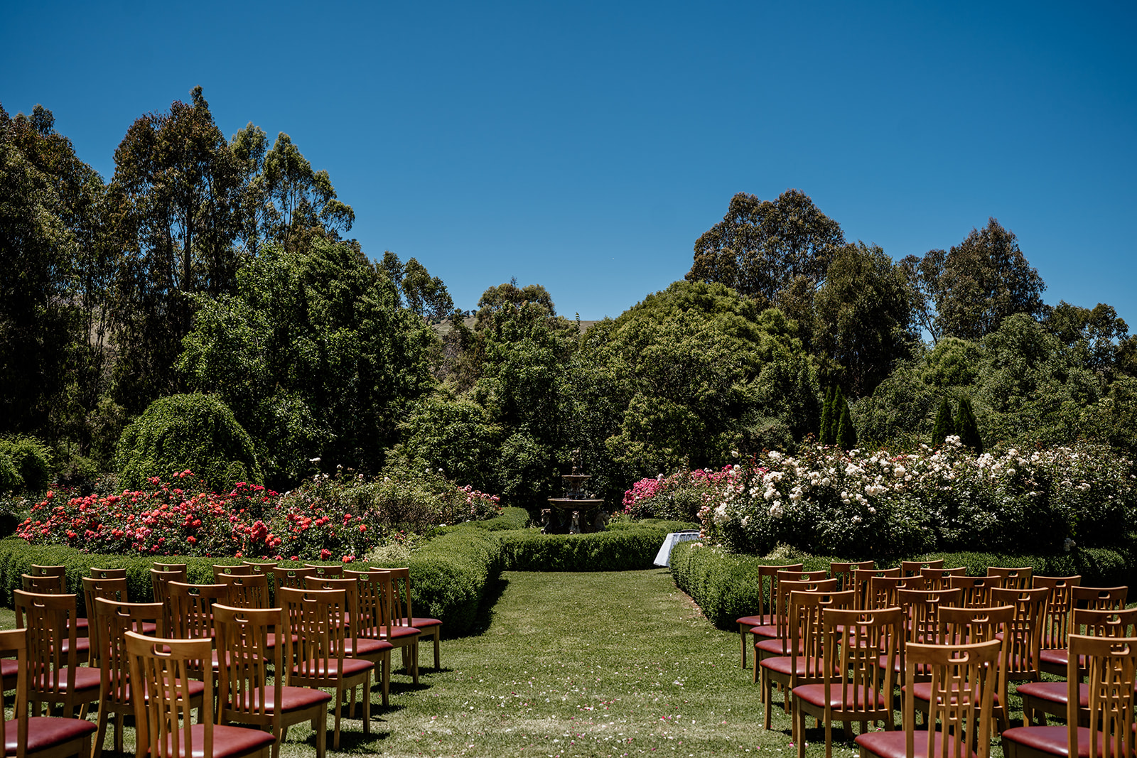 Garden wedding ceremony at Brookfield Maze, Myrrhee. Victoria wedding photographer. Garden wedding venue in Victoria.