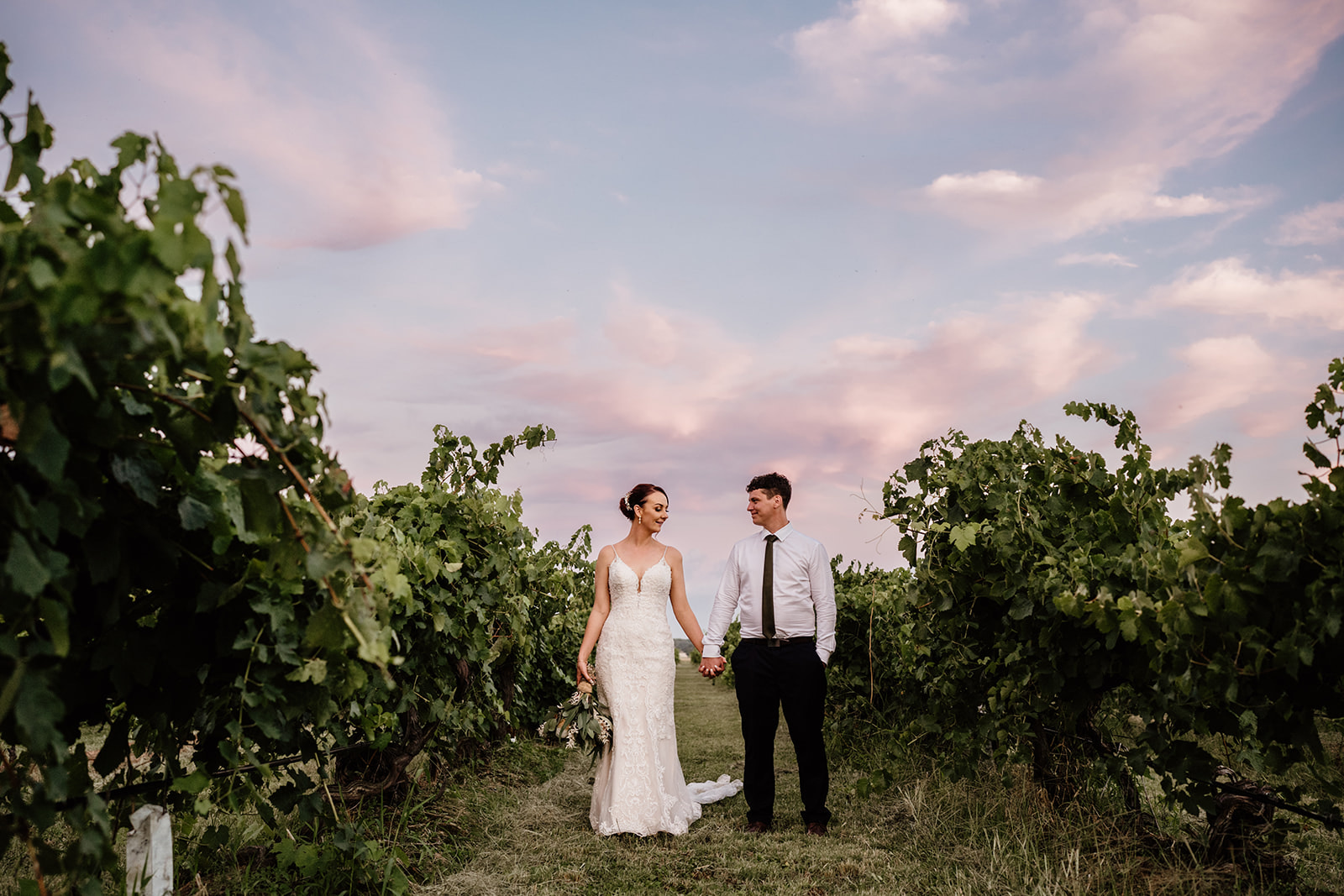 Bride and groom photo among the vineyards at Buller Wines in Rutherglen. Sunset wedding photo in Rutherglen.