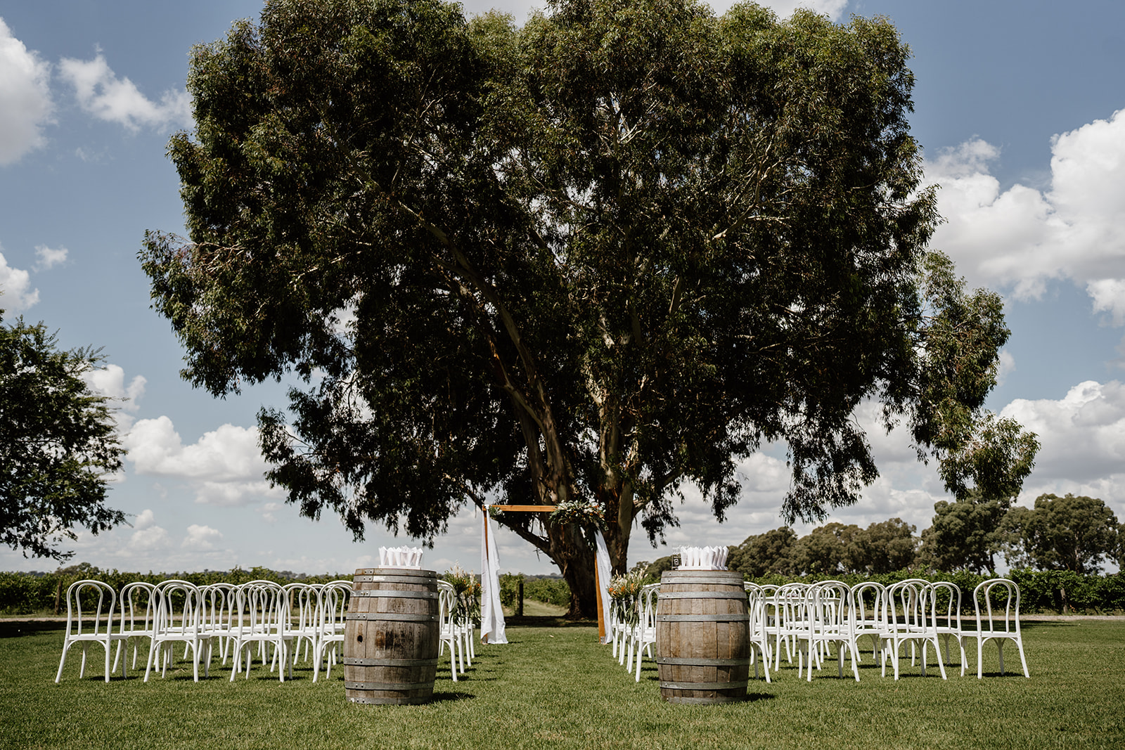 Outdoor wedding ceremony setup at Buller Wines in Rutherglen. Vineyards wedding ceremony venue in Rutherglen. 