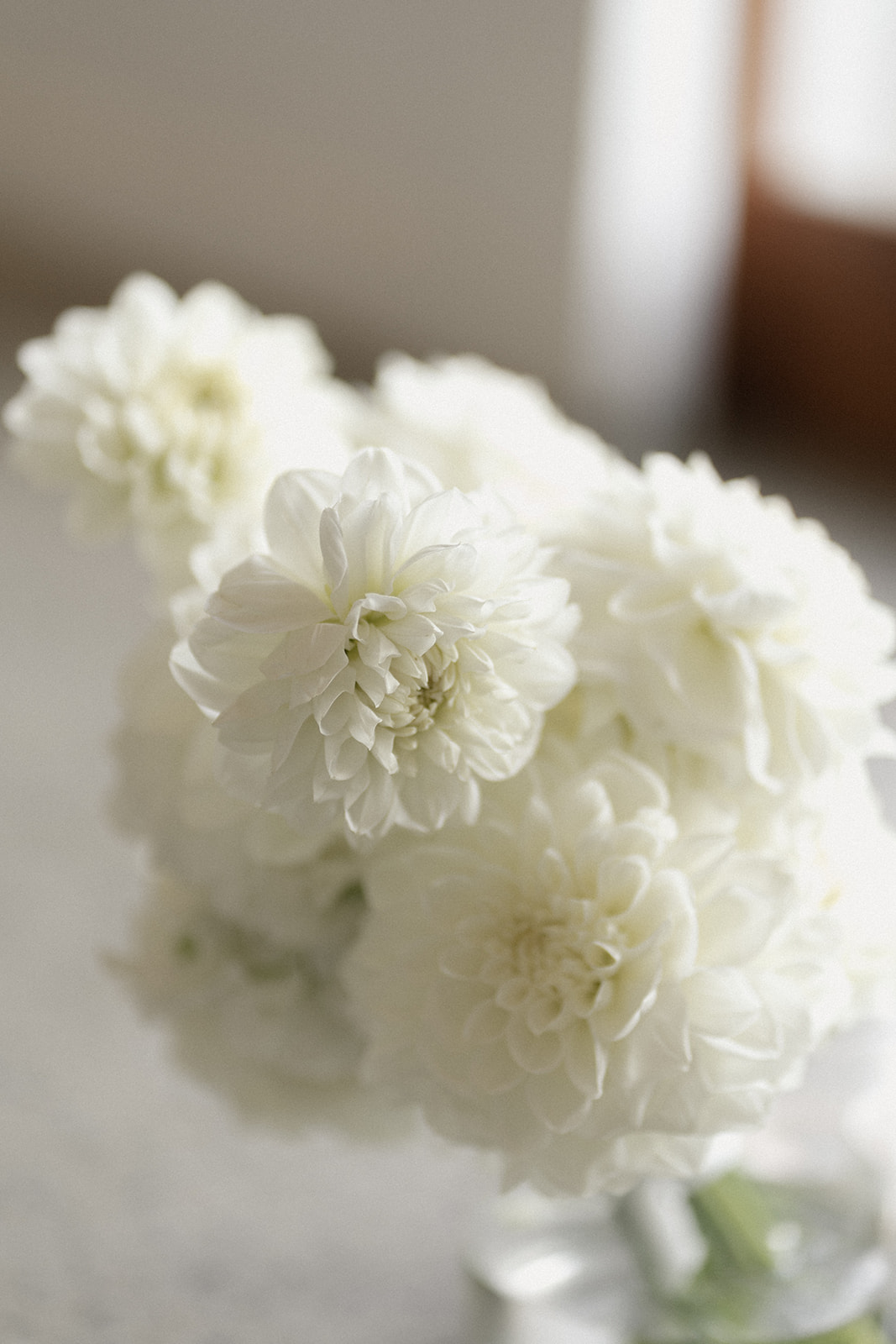 Summergrove Estate Wedding photography White flower bouquet