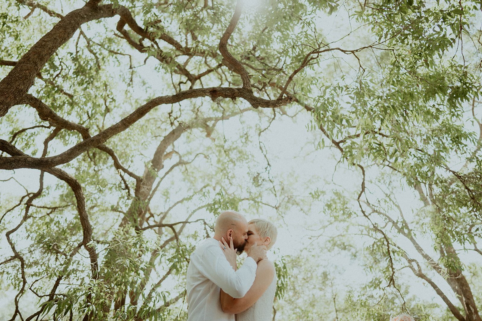 Bride and groom, kissing under some beautiful Australian Gumtrees in Kangaroo Valley