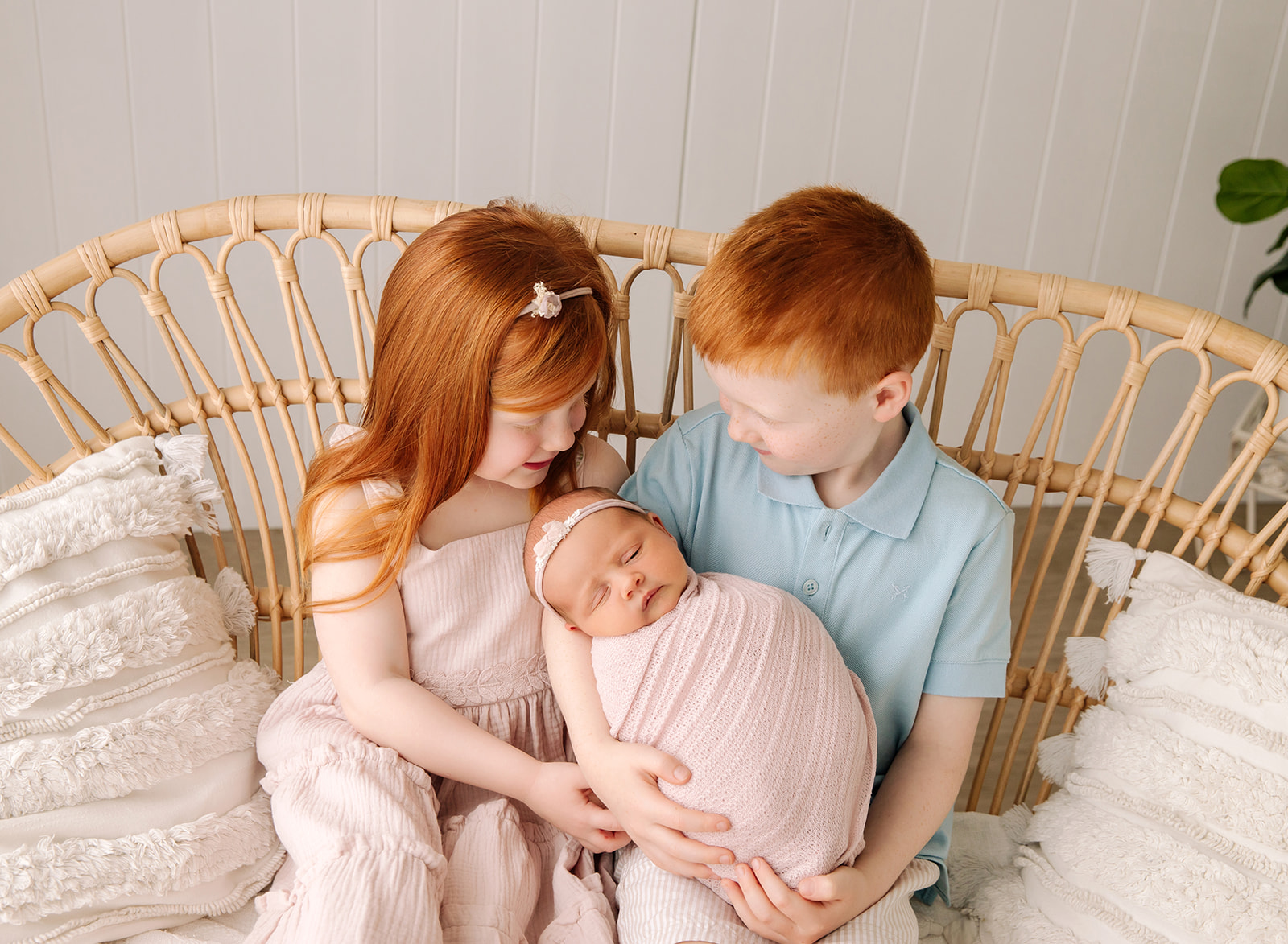 Sibling photos newborn session