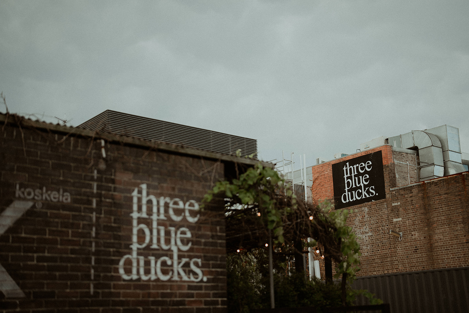 Three blue ducks signage