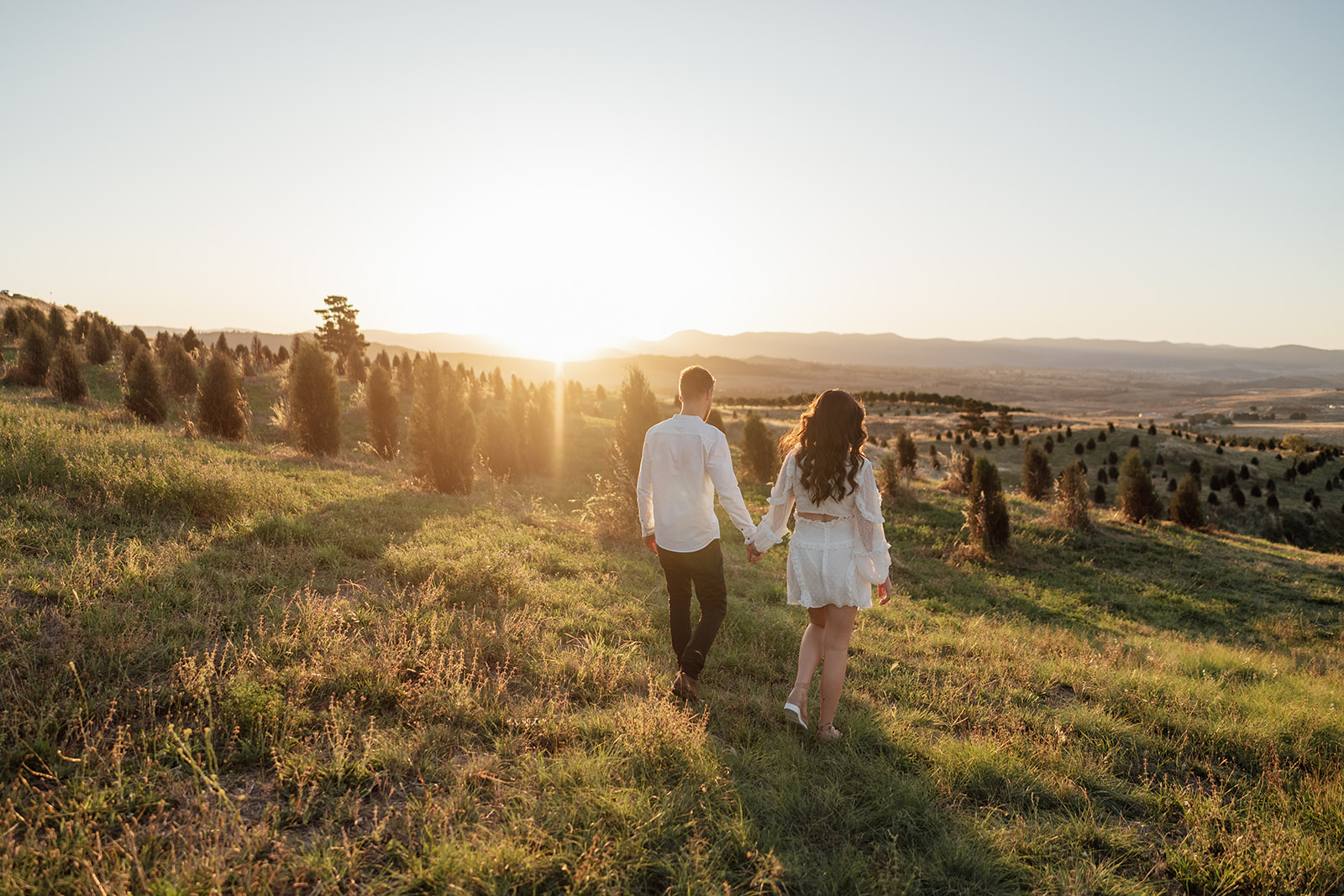 a couple having an engagement session in the National Arboretum Canberra