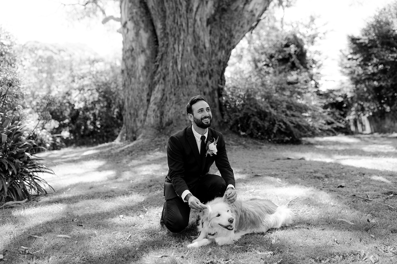 Groom portrait with dog getting ready for his elegant country wedding.