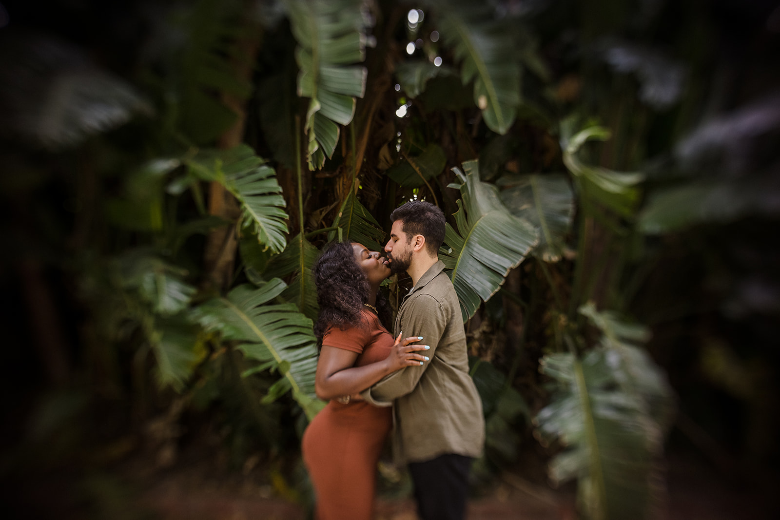 St Kilda Botanical Gardens Couples Photos