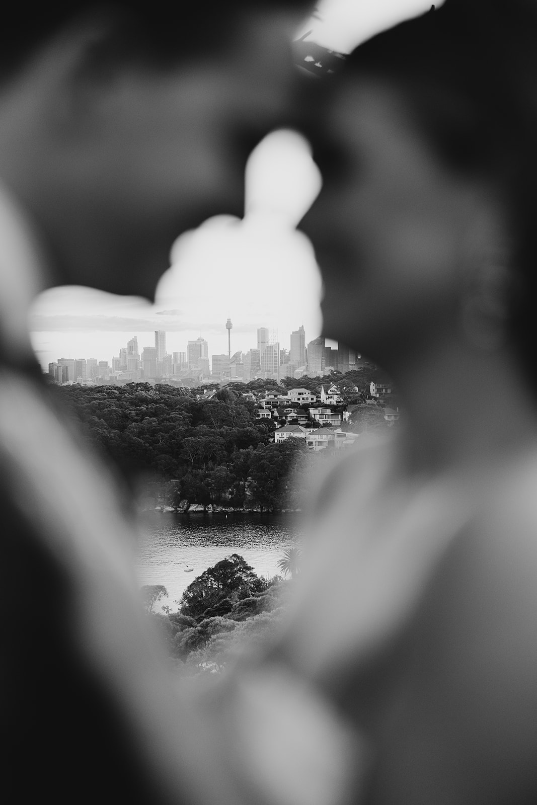 A bride and groom with Sydney Harbour views