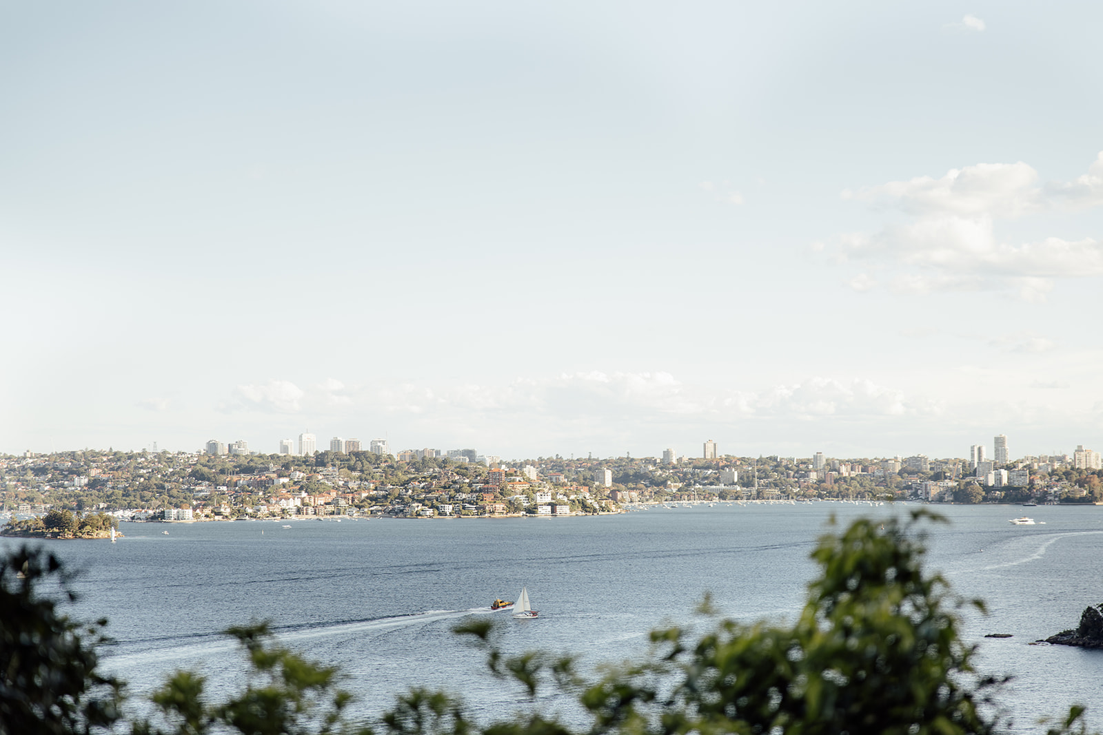 A landscape of Sydney Harbour 