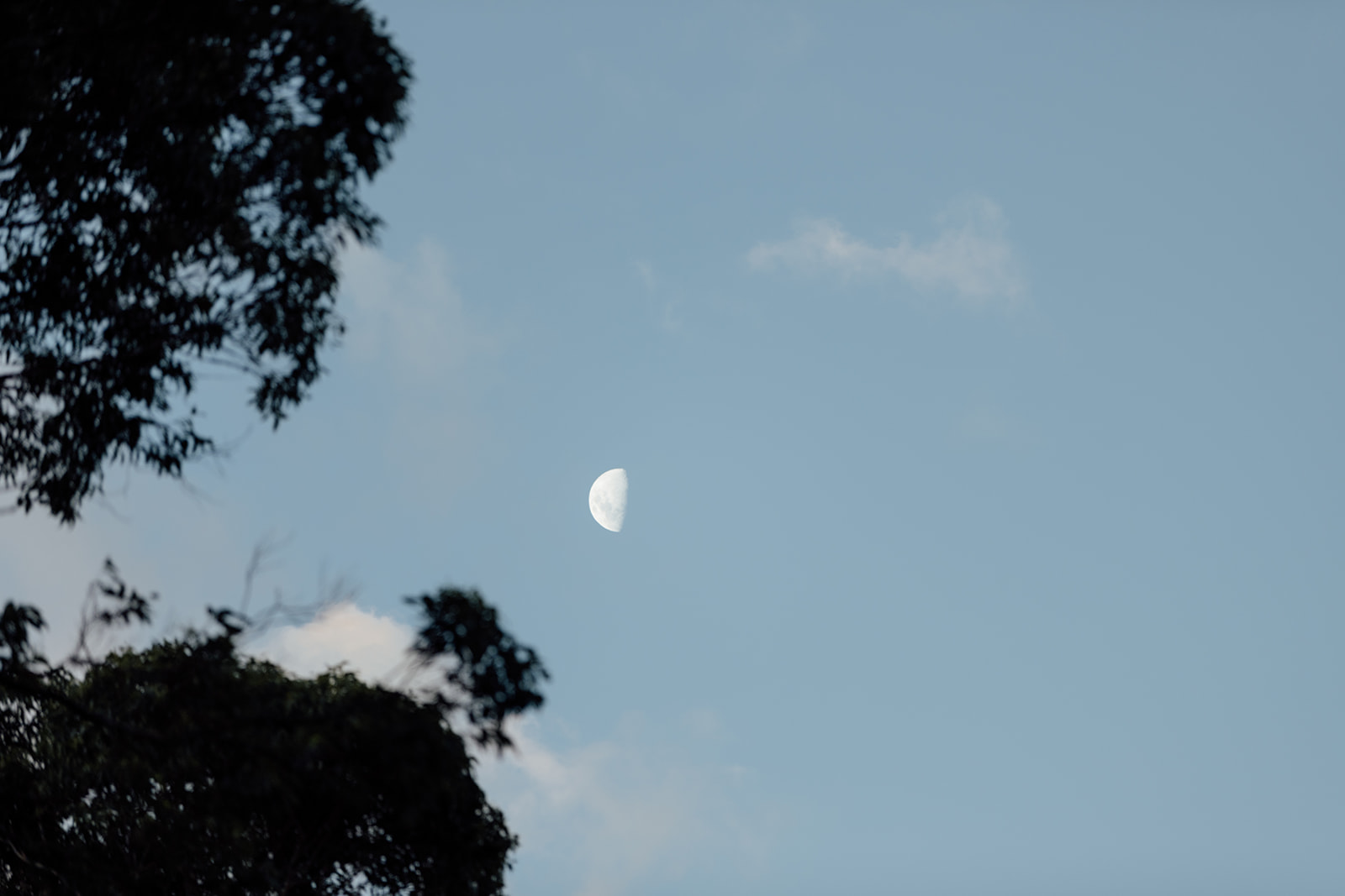 The moon and sky at dusk