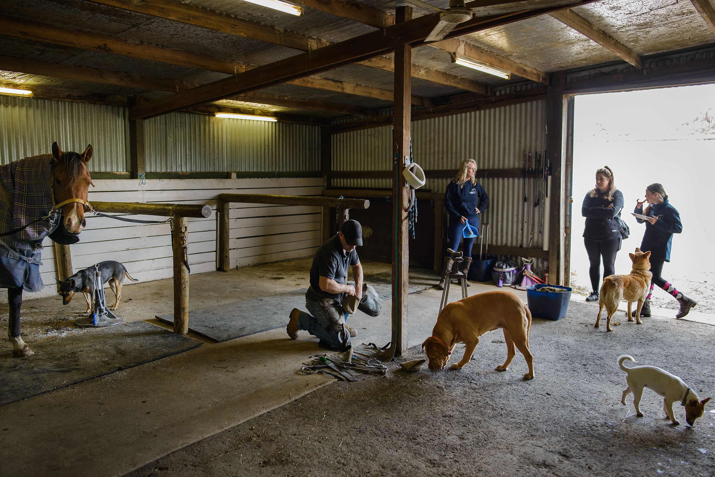 A scene at Rivally Equestrian Services, local farrier Dean, works on a horse with a trainer, parent & student observing.