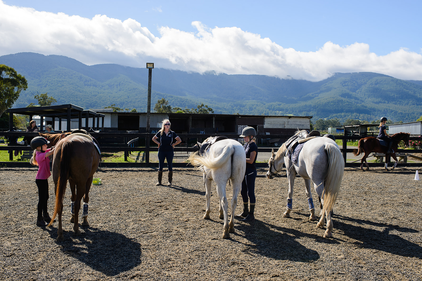 Equine training at Rivally Equestrian services, Yarra junction with a spectacular view of the Yarra Ranges.
