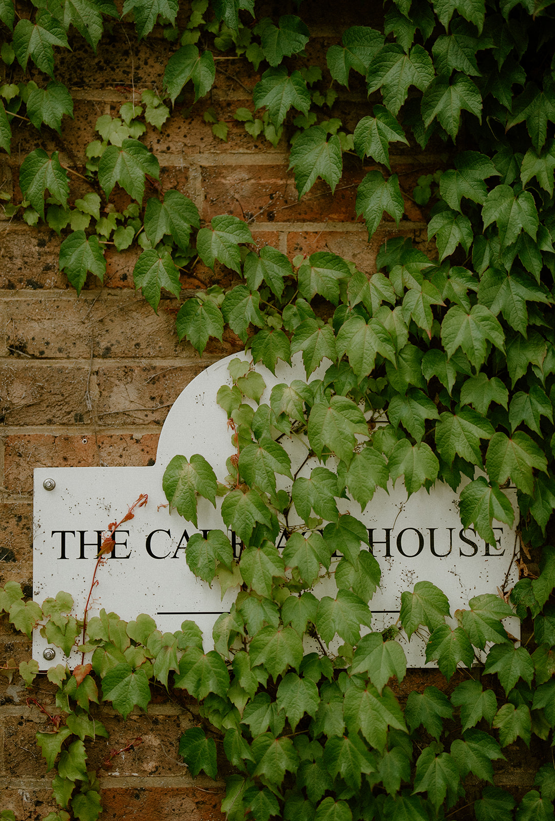 A photo of the coach house sign covered in green ivy at Milton Park Country House.