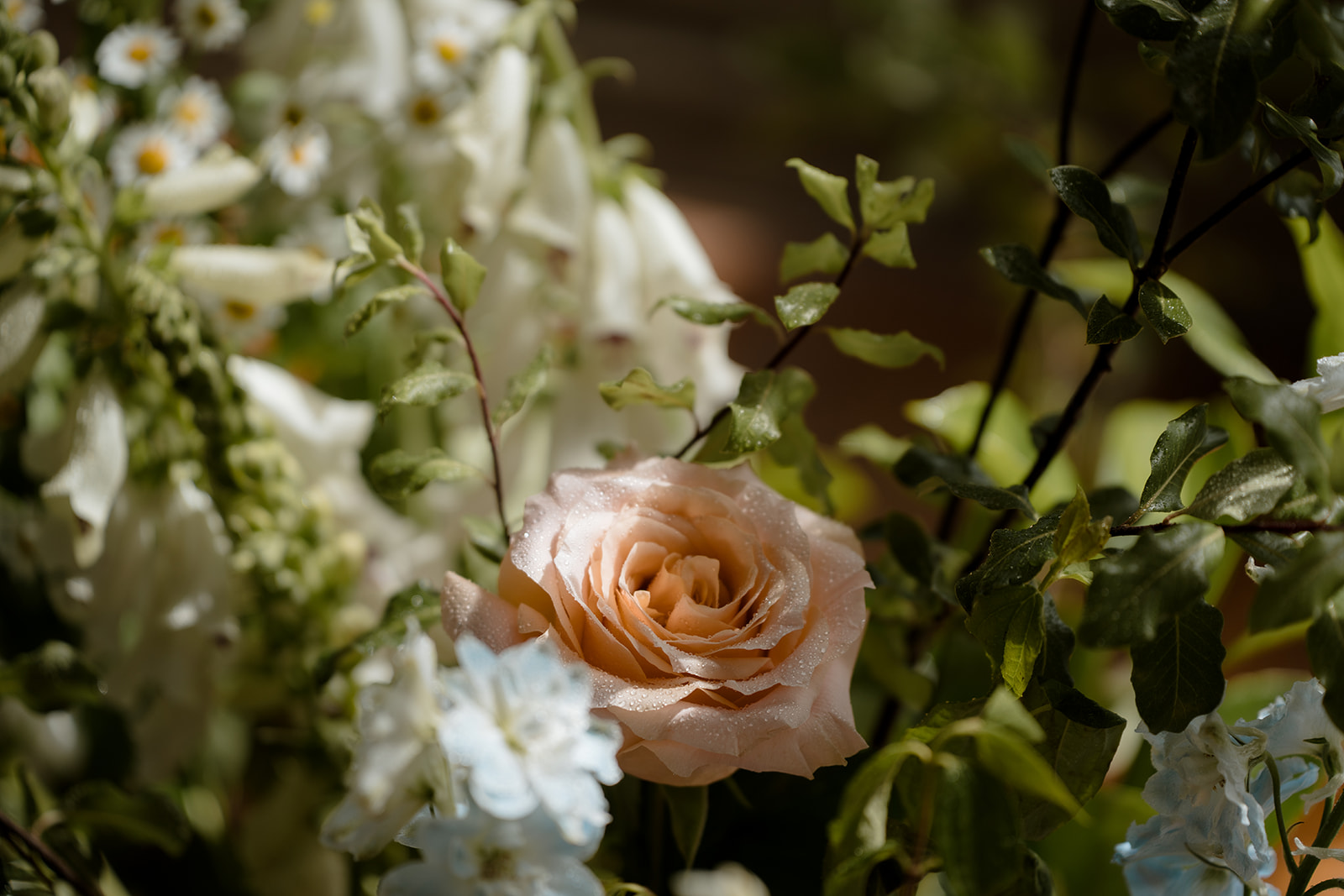 Mesmerizing rose decoration at Montsalvat, Victoria, adding elegance to a wedding ceremony