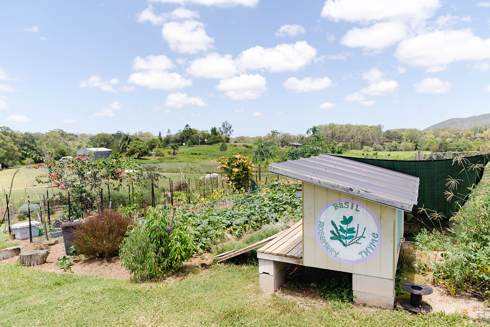 Vegetable and herb garden at Seven Peaks Farm Stay - a perfect setting for romantic picnics.